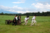Bitky pri Vavrišove [2010]