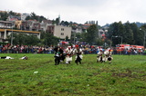 Novojičínské slavnosti [2010]